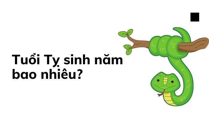 Bạn sinh năm nào, năm con Rắn?