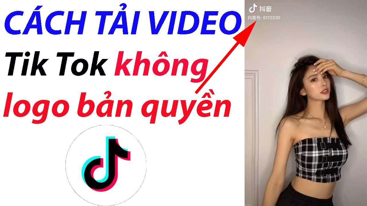 Cách tải, download video Tiktok không Logo miễn phí 1