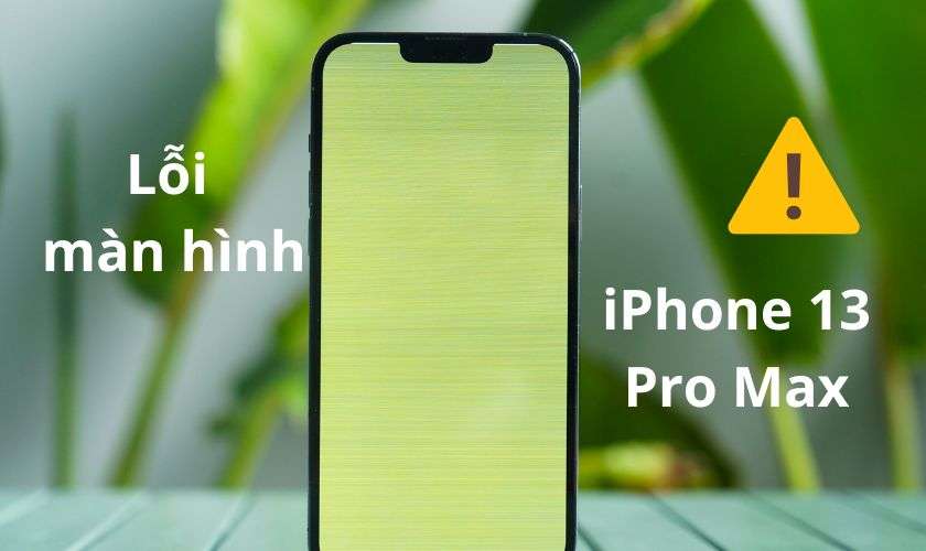 Lỗi màn hình 1 trên iPhone 13 Pro Max