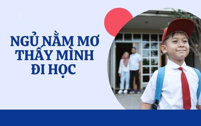 Nằm mơ thấy đi học có ý nghĩa gì?