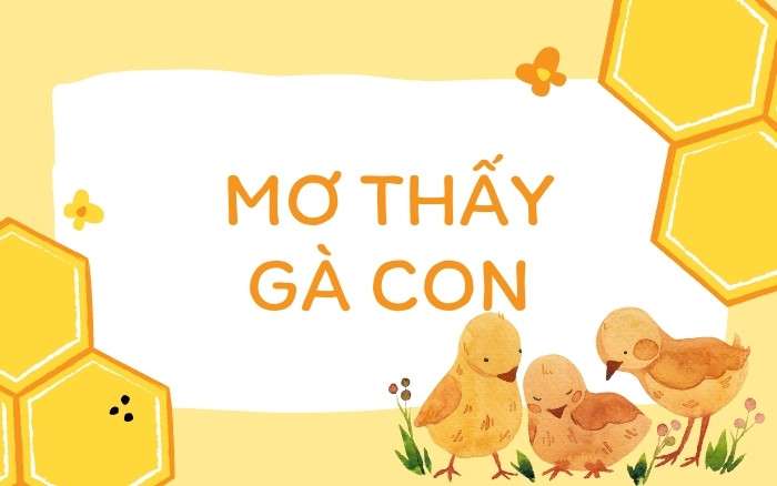 mơ thấy gà con