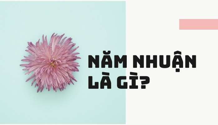 Năm nhuận là gì?