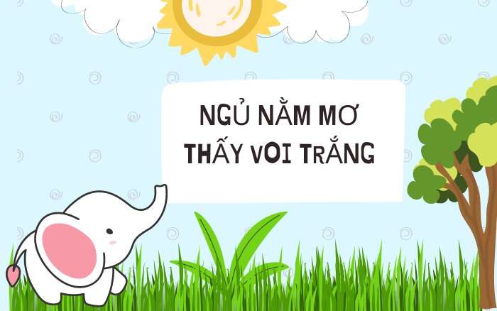 Nằm mơ thấy voi có ý nghĩa gì?