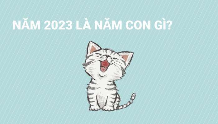 Năm 2023 là năm con gì?