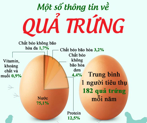 Trứng chứa gì - chất dinh dưỡng có trong trứng