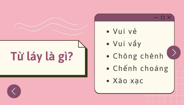 Từ nào được dùng để mô tả lớp bốn?