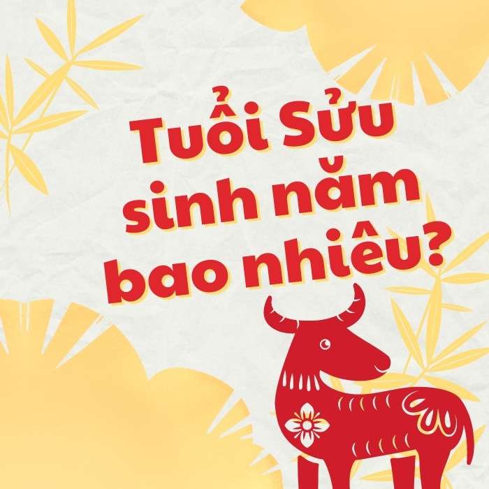 Tuổi Sửu sinh năm bao nhiêu? Tử vi Nam Nữ tuổi Sửu 2024